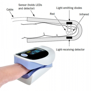 Fingertip Pulse Oximeter Blood Oxygen Saturation Monitor